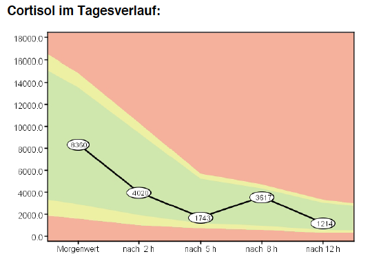 östrogendominanz gewichtszunahme